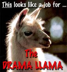 do you have problems? call DRAMA LLAMA